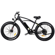 Hook Rear Drive Motor Mountain Electric Bike